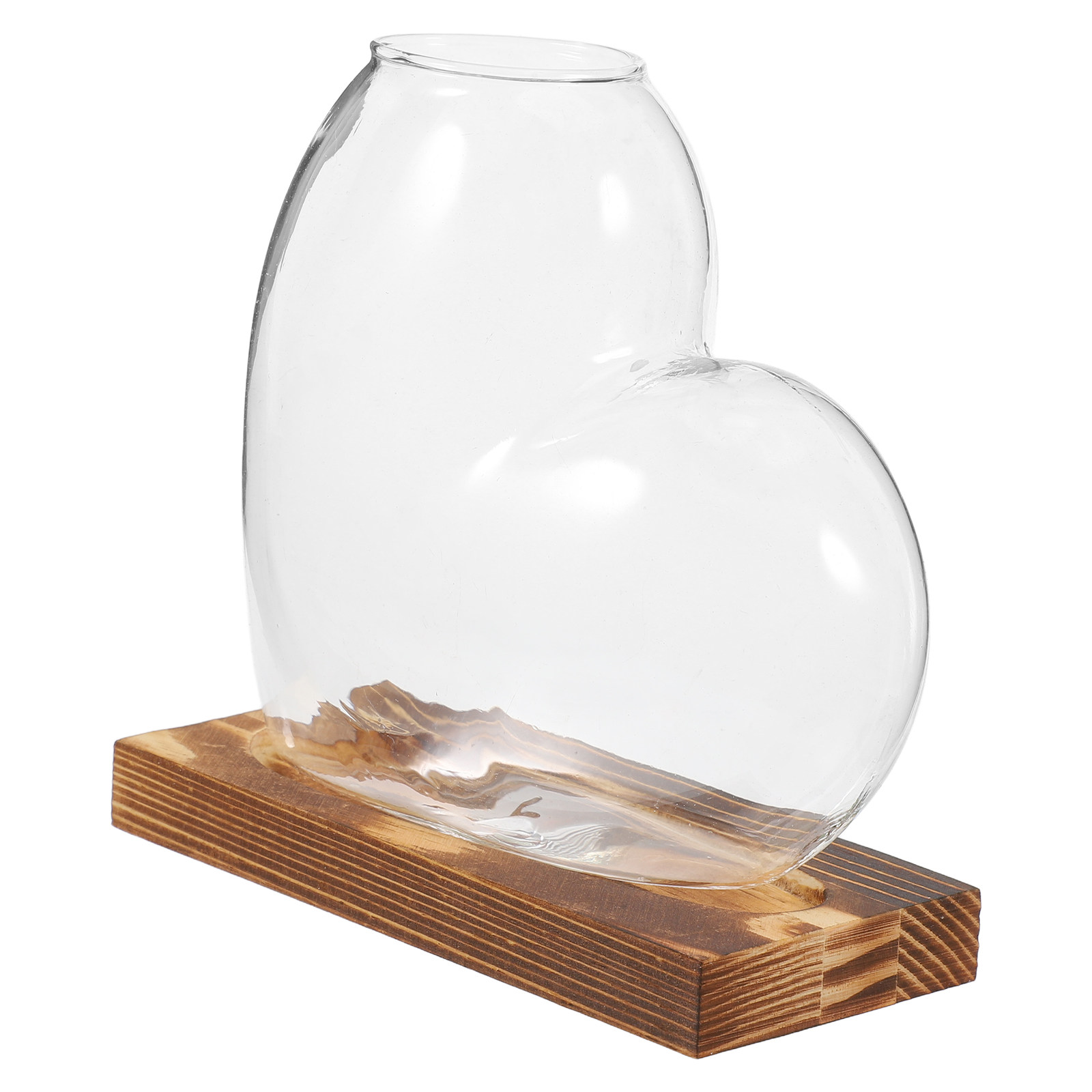 Propagation Station Vase - Vaso in vetro per coltivazione idroponica,