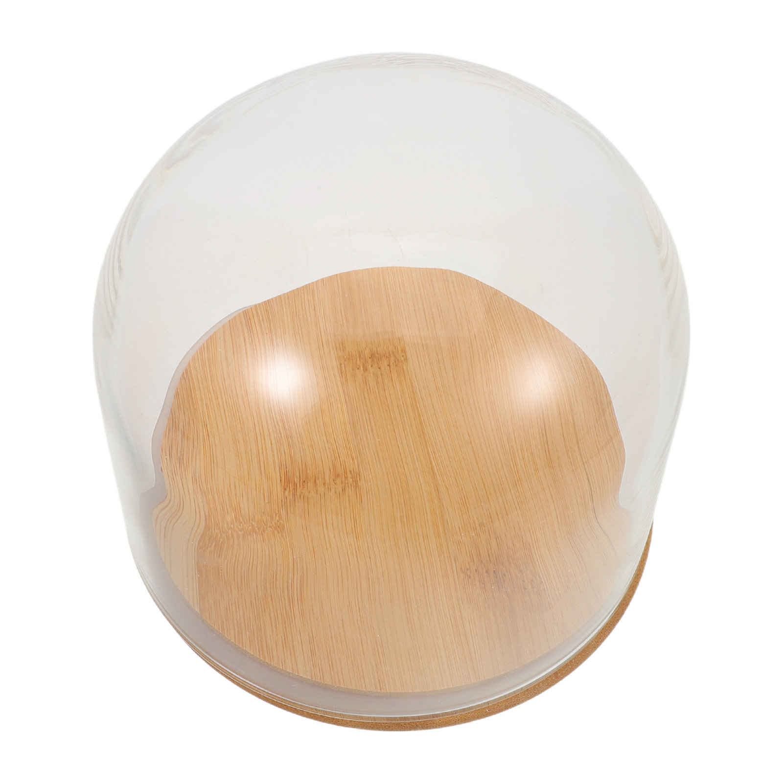 Campana di vetro trasparente c - Plastic Dome Clear recensione e prezzo