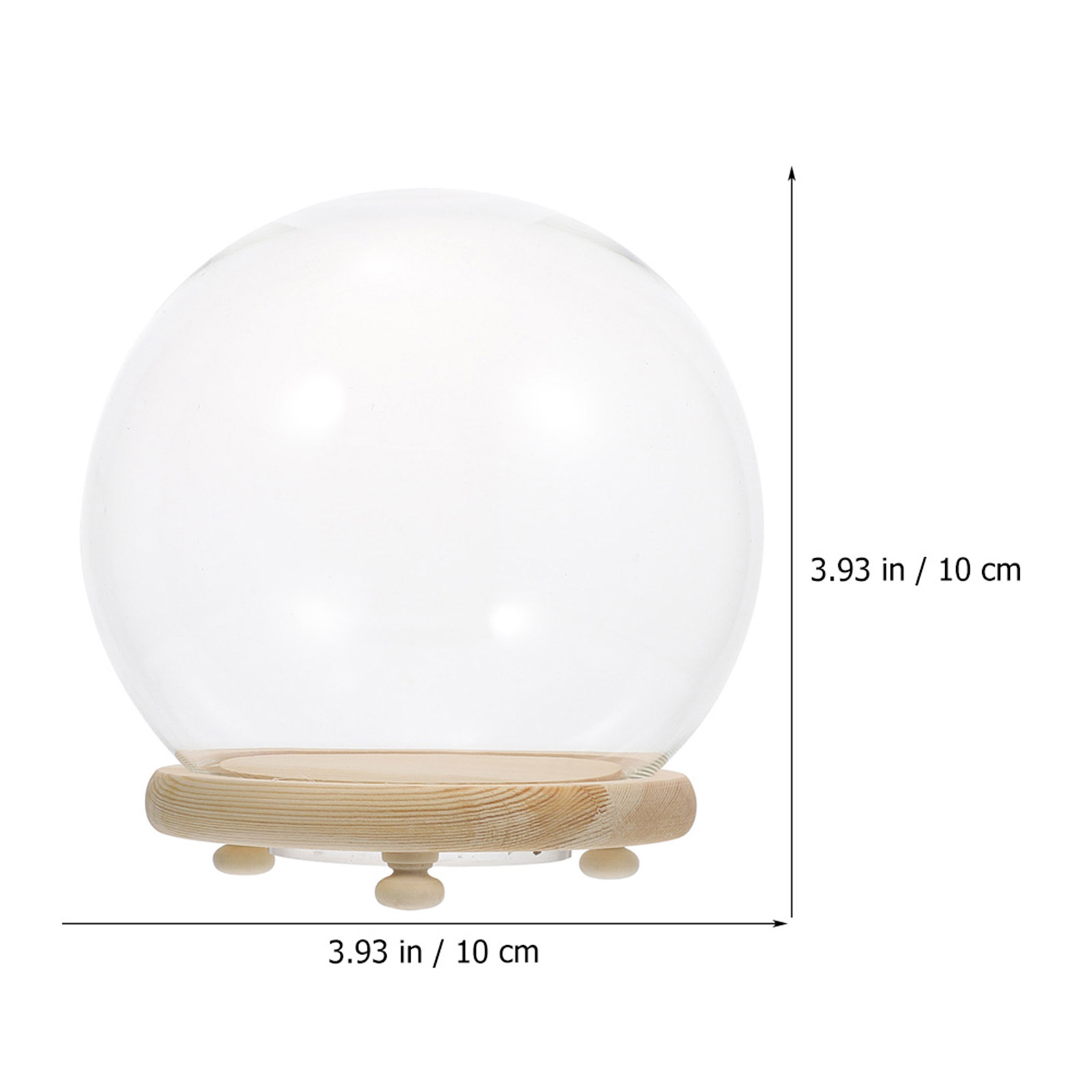 Vetrina a Cupola in Vetro per  - Plastic Dome Clear recensione e prezzo