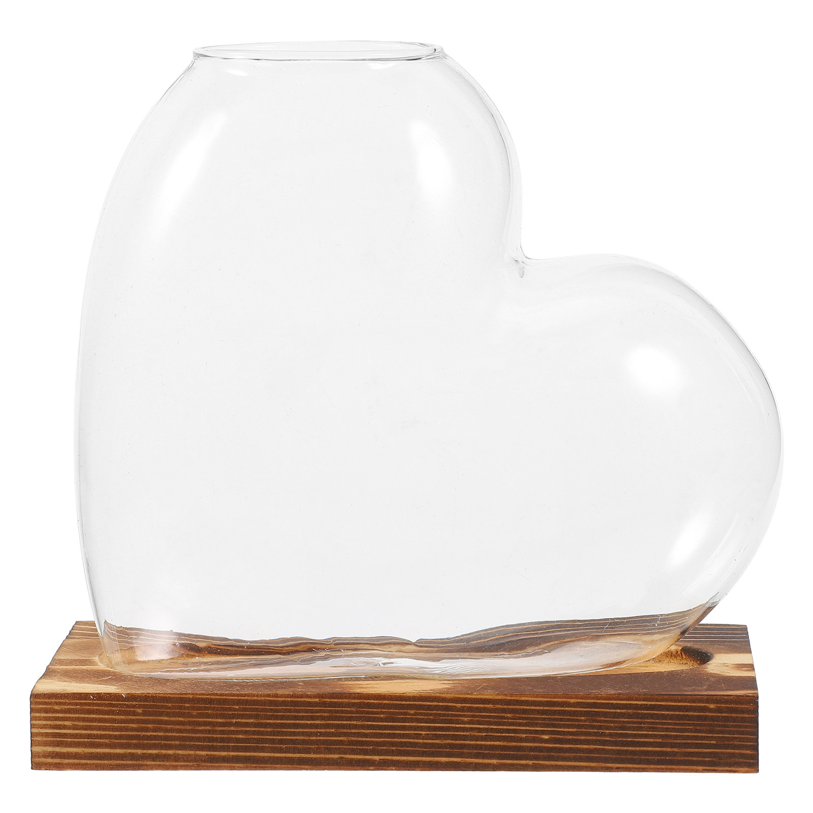 Vaso in vetro per coltivazione - Propagation Station Vase recensione e prezzo