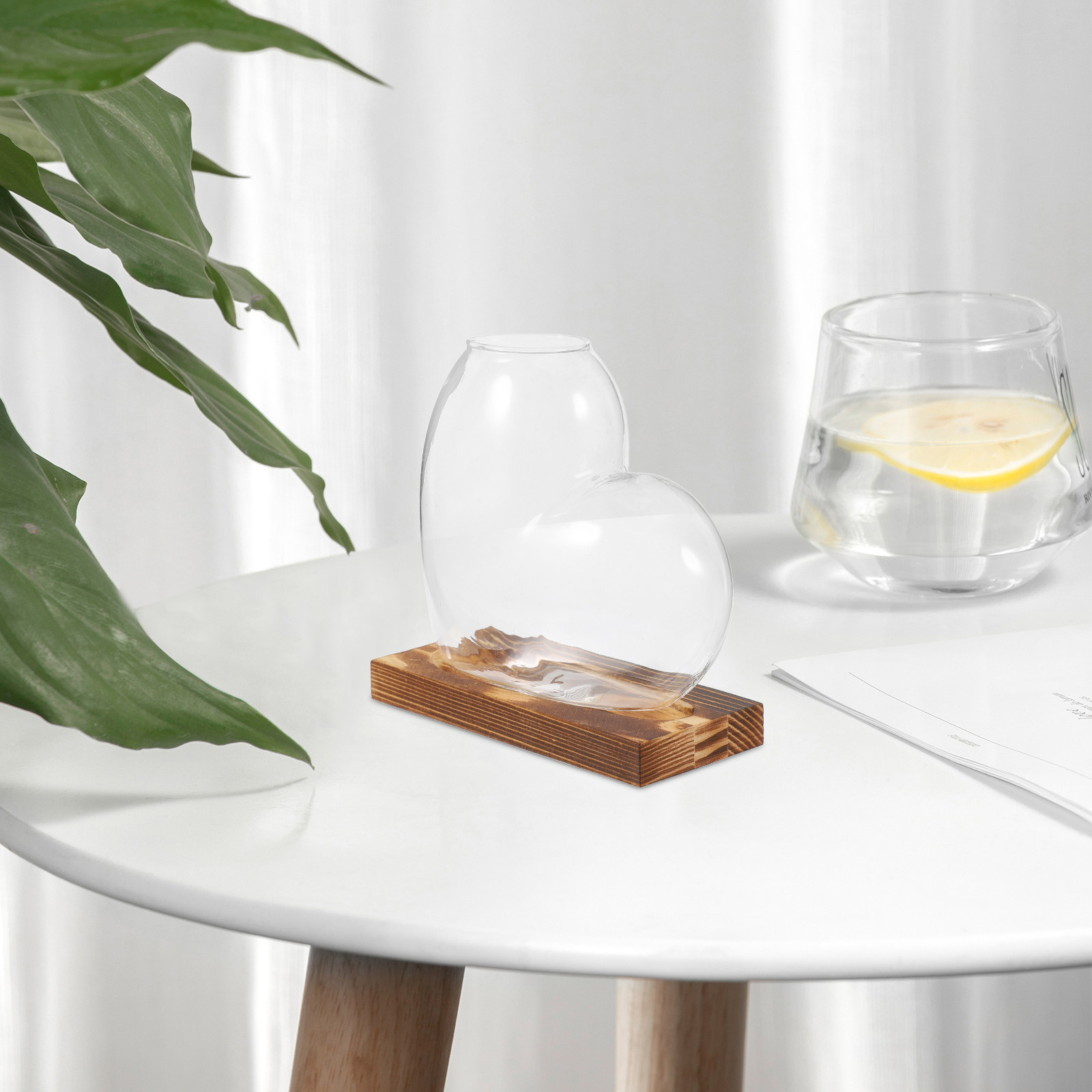 Vaso in vetro per coltivazione - Propagation Station Vase recensione e prezzo