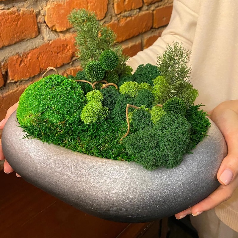 Piante di Muschio Verde Artifi - Sphagnum Moss Dry recensione e prezzo